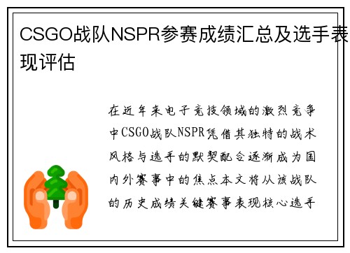 CSGO战队NSPR参赛成绩汇总及选手表现评估